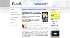 Desktop Screenshot of detectivedonradon.com
